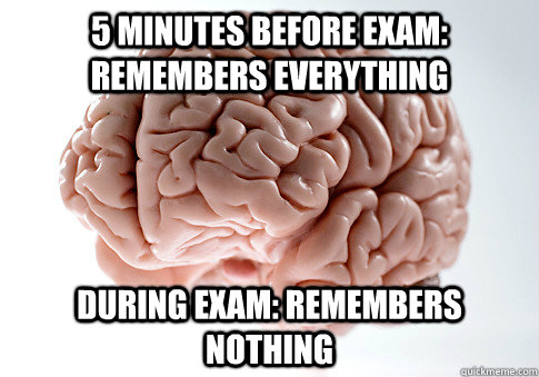 5 minutes before exam: remembers everything During exam: remembers nothing - 5 minutes before exam: remembers everything During exam: remembers nothing  Scumbag Brain