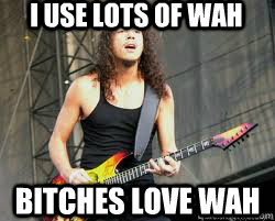 I USE LOTS OF WAH BITCHES LOVE WAH  Kirk Hammett