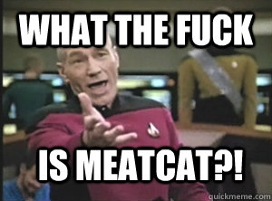 What the fuck is meatcat?!  Annoyed Picard