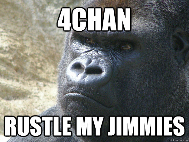 4chan Rustle My Jimmies  Rustled My Jimmies