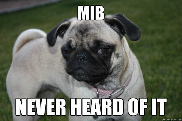 MIB Never heard of it - MIB Never heard of it  Skeptical Pug