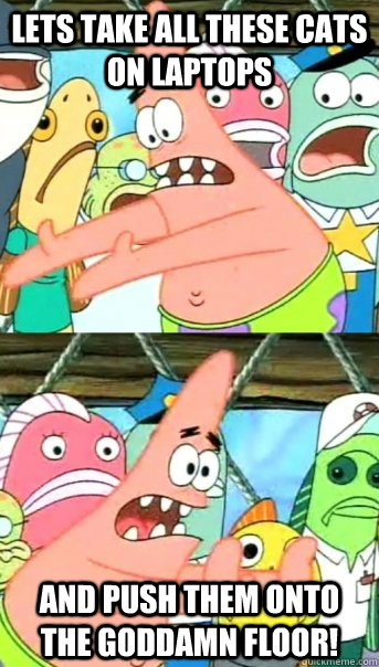 Lets take all these cats on laptops and push them onto the goddamn floor!  Push it somewhere else Patrick