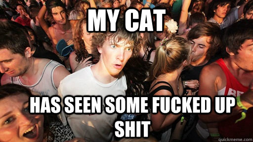 my cat has seen some fucked up shit  Sudden Clarity Clarence