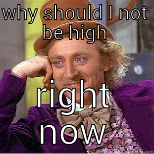 WHY SHOULD I NOT BE HIGH RIGHT NOW Condescending Wonka