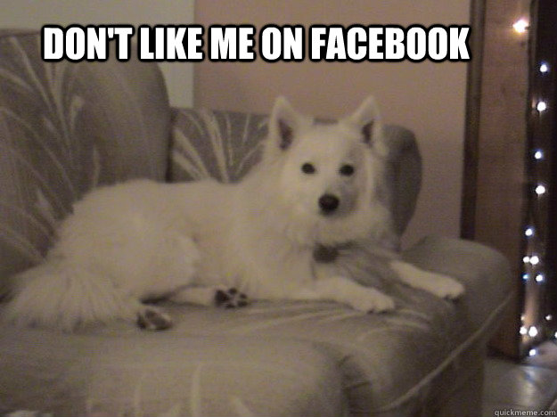 don't like me on facebook  