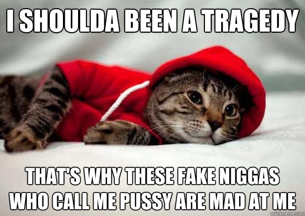 I shoulda been a tragedy That's why these fake niggas who call me pussy are mad at me - I shoulda been a tragedy That's why these fake niggas who call me pussy are mad at me  NerdcoreKitty
