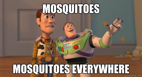 Mosquitoes  Mosquitoes everywhere  Toy Story Everywhere