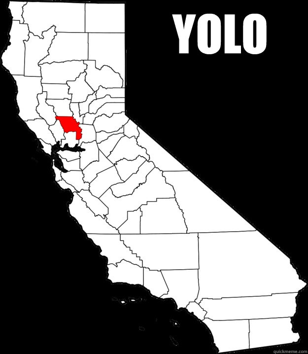 YOLO - YOLO  yolo ca