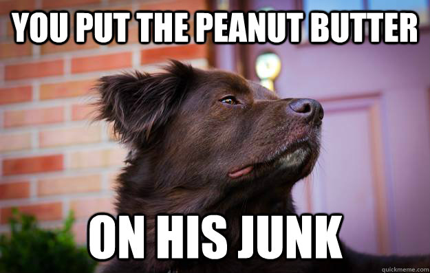 you put the peanut butter On his junk  Ridiculously Photogenic Dog