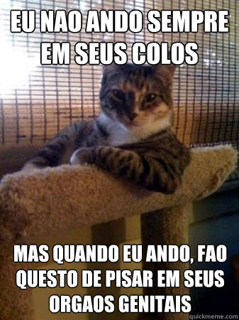 Eu nao ando sempre em seus colos mas quando eu ando, faço questão de pisar em seus orgaos genitais  The Most Interesting Cat in the World