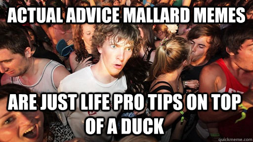 ACTUal advice mallard memes are just life pro tips on top of a duck  Sudden Clarity Clarence