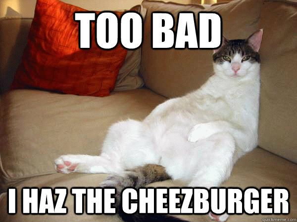 too bad i haz the cheezburger  