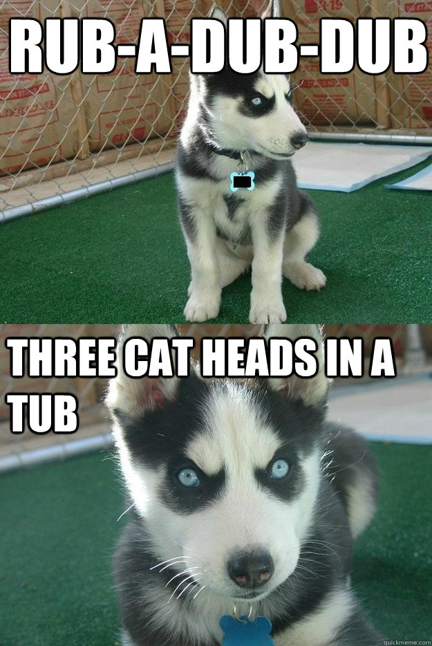 Rub-a-dub-dub
 Three cat heads in a tub  Insanity puppy