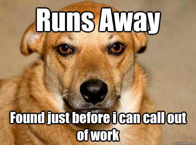 Runs Away Found just before i can call out of work - Runs Away Found just before i can call out of work  Scumbag Keaton