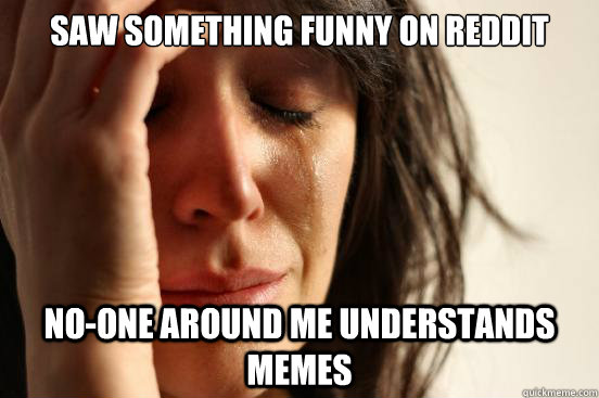 saw something funny on reddit no-one around me understands memes  First World Problems
