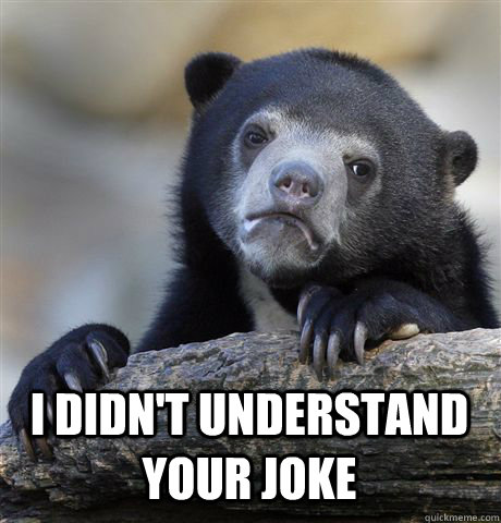  I DIDN'T UNDERSTAND YOUR JOKE -  I DIDN'T UNDERSTAND YOUR JOKE  Confession Bear