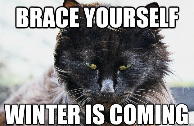 Brace yourself Winter is coming
 - Brace yourself Winter is coming
  Misc