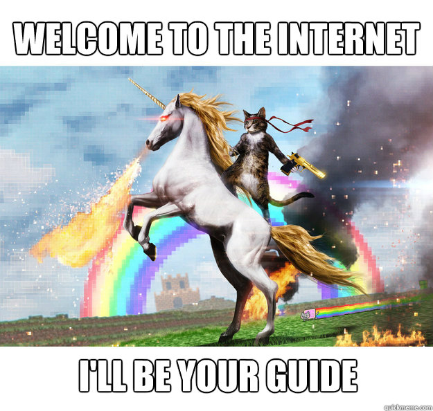 Welcome to the internet I'll be your guide  