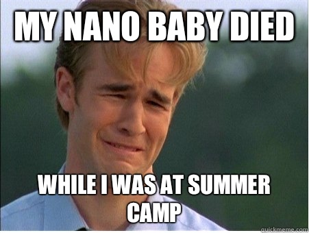 My Nano Baby died while I was at summer camp  1990s Problems