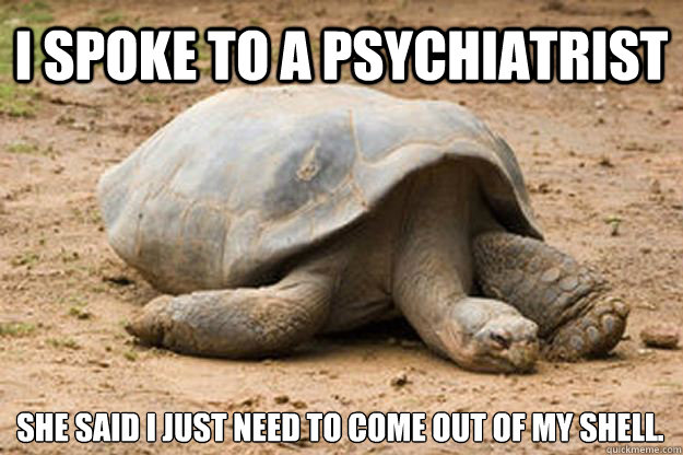 i spoke to a psychiatrist she said I just need to come out of my shell. - i spoke to a psychiatrist she said I just need to come out of my shell.  Depression Turtle