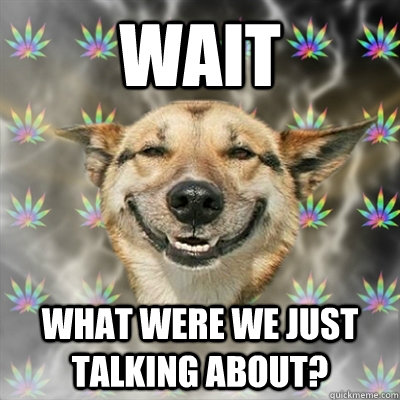 Wait What were we just talking about?  Stoner Dog