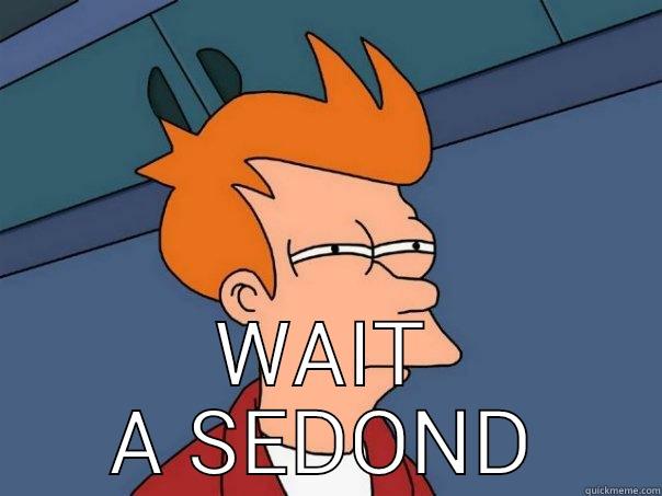  WAIT A SEDOND Futurama Fry