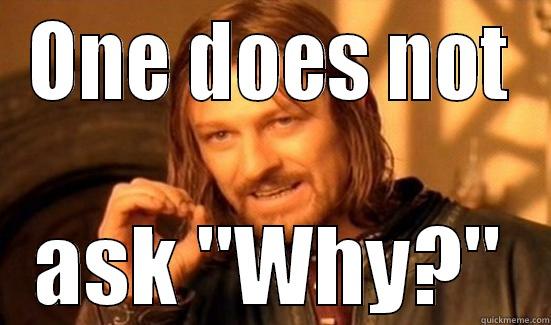 ONE DOES NOT ASK 
