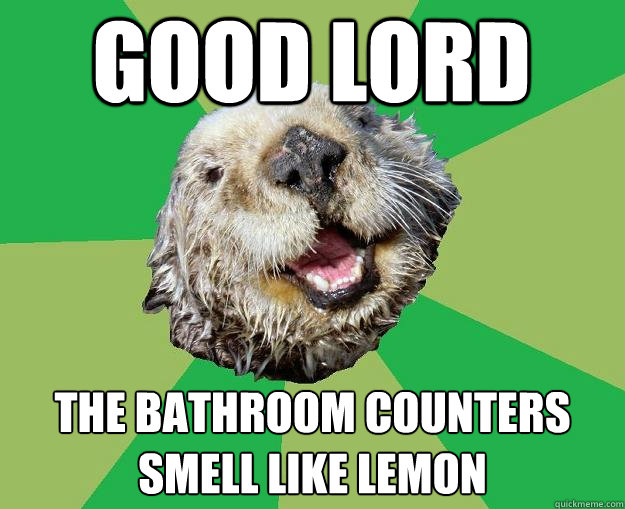 good lord the bathroom counters smell like lemon  OCD Otter