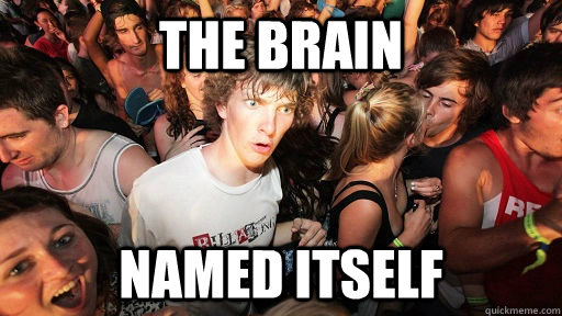 The brain named itself  Sudden Clarity Clarence