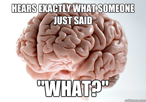 Hears exactly what someone just said 