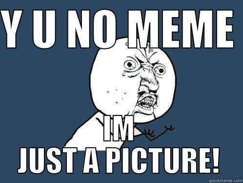 Y U NO MEME  IM JUST A PICTURE! Y U No