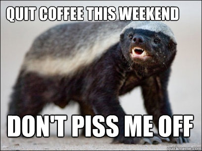 Quit Coffee This weekend Don't piss me off  