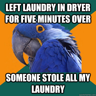 left laundry in dryer for five minutes over someone stole all my laundry  Paranoid Parrot