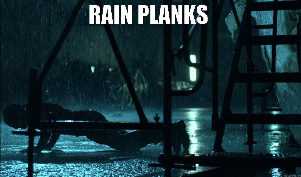 Rain Planks - RAIN PLANKS  Misc