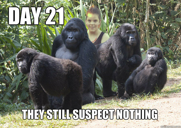 day 21 they still suspect nothing - day 21 they still suspect nothing  trgffcrtefrsdfger