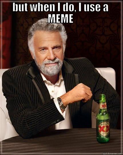 BUT WHEN I DO, I USE A MEME  The Most Interesting Man In The World