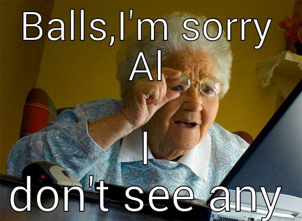 BALLS,I'M SORRY AL I DON'T SEE ANY Grandma finds the Internet