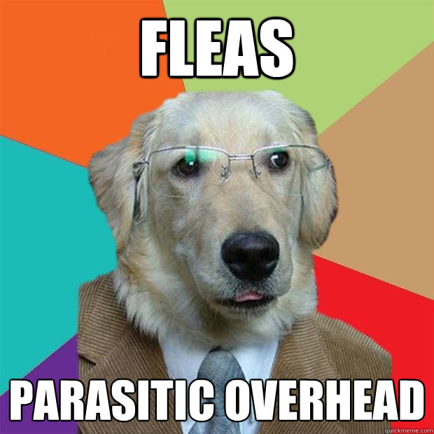 Fleas parasitic overhead  Business Dog