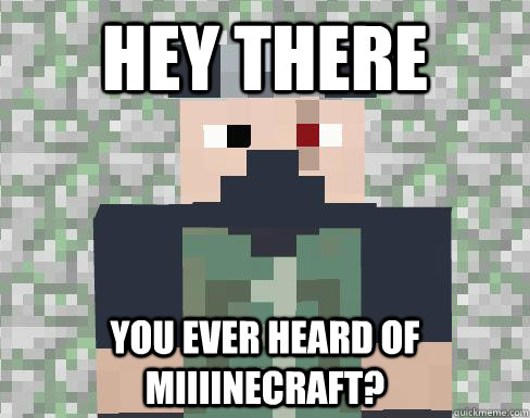 Hey there You ever heard of miiiinecraft?  