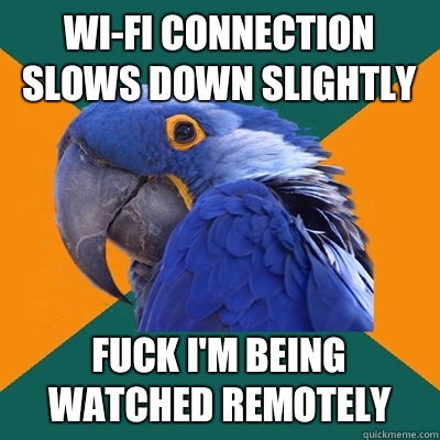 Wi-Fi connection slows down slightly FUCK I'M BEING WATCHED REMOTELY  Paranoid Parrot