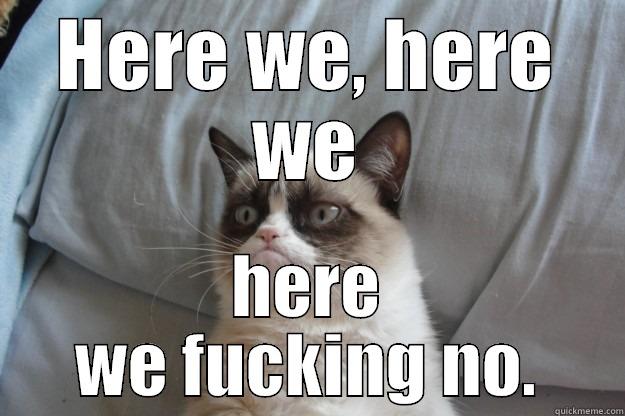HERE WE, HERE WE HERE WE FUCKING NO. Grumpy Cat