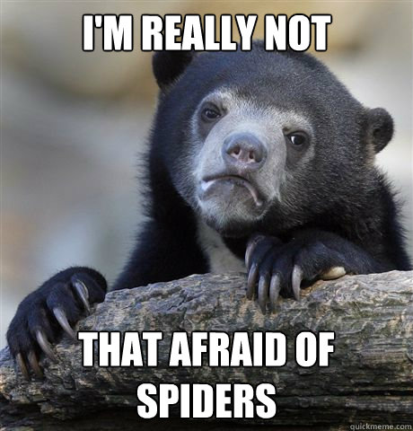 I'm really not that afraid of spiders - I'm really not that afraid of spiders  Confession Bear