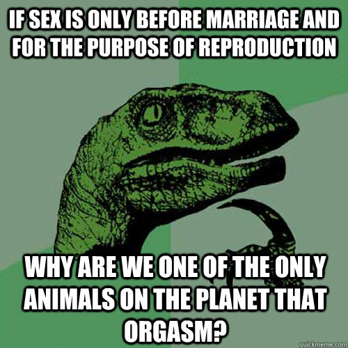 If Sex is only before marriage and for the purpose of reproduction Why are we one of the only animals on the planet that orgasm?  Philosoraptor