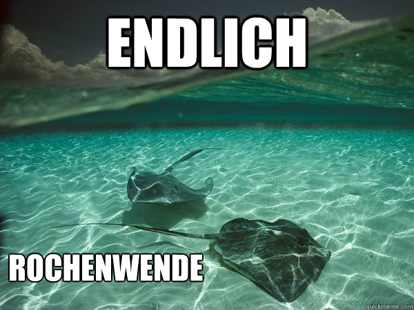 Endlich Rochenwende  scumbag stingray