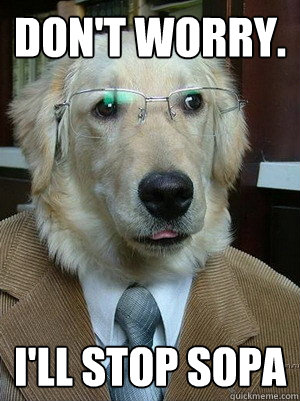don't worry. I'll stop sopa - don't worry. I'll stop sopa  Suit Dog