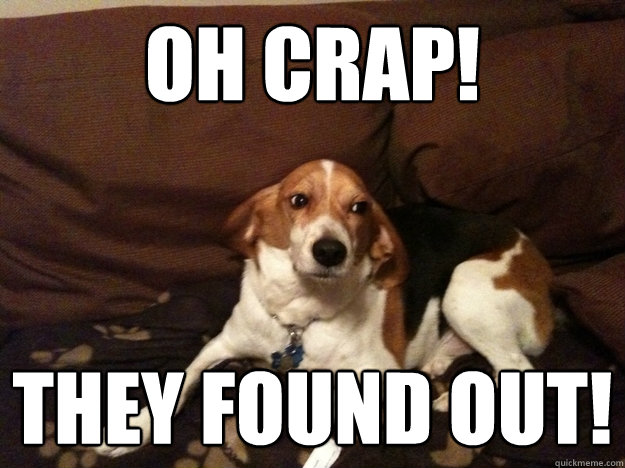 Oh crap! They found out! - Oh crap! They found out!  Guilty Beagle
