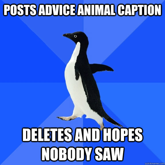 Posts advice animal caption Deletes and hopes nobody saw  Socially Awkward Penguin