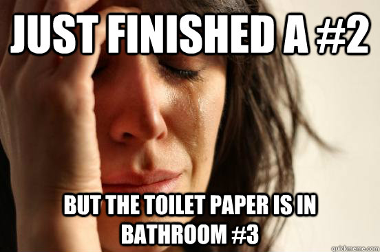 just finished a #2 but the toilet paper is in bathroom #3  First World Problems
