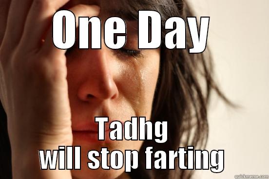 ONE DAY TADHG WILL STOP FARTING First World Problems