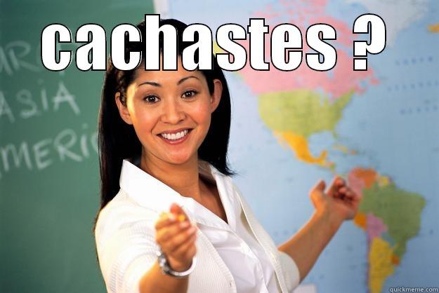 CACHASTES ?  Unhelpful High School Teacher